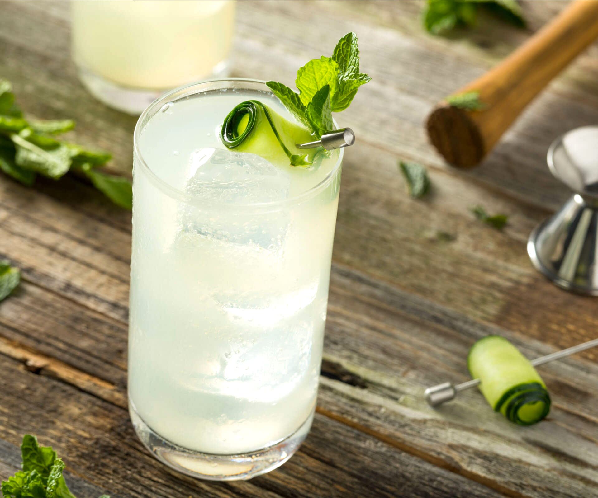 Gin Fizz 